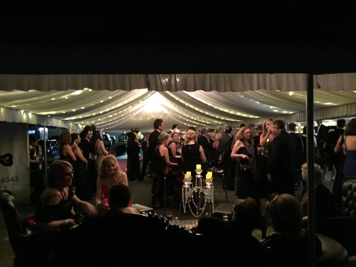 Large crowd standing at a live music concert supported by American Security Force