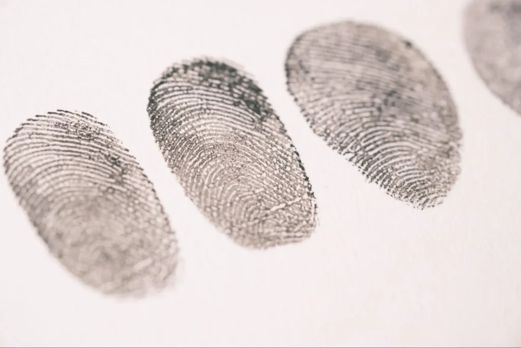 Fingerprint Identification for Security Investigations Close-up of fingerprint impressions used for identification, background checks, and security investigations.