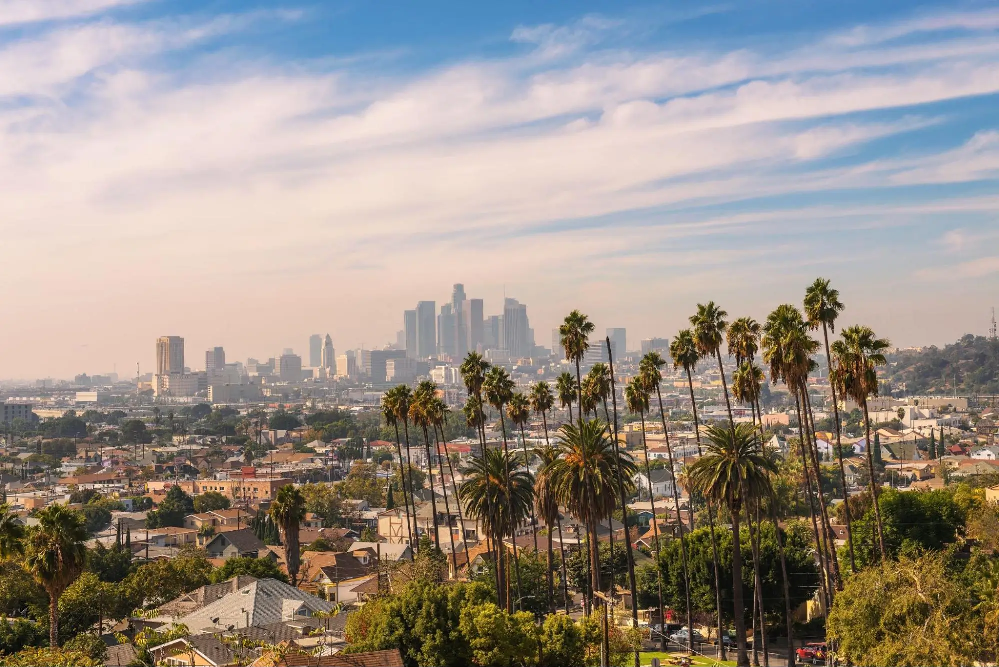 Los Angeles skyline with palm trees representing American Security Force security guard services in Southern California